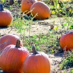 2008-10-07 (020).jpg